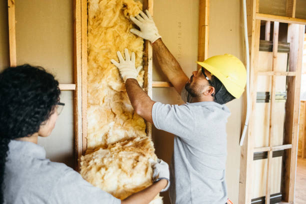 Best Soundproof Insulation  in Palisade, CO